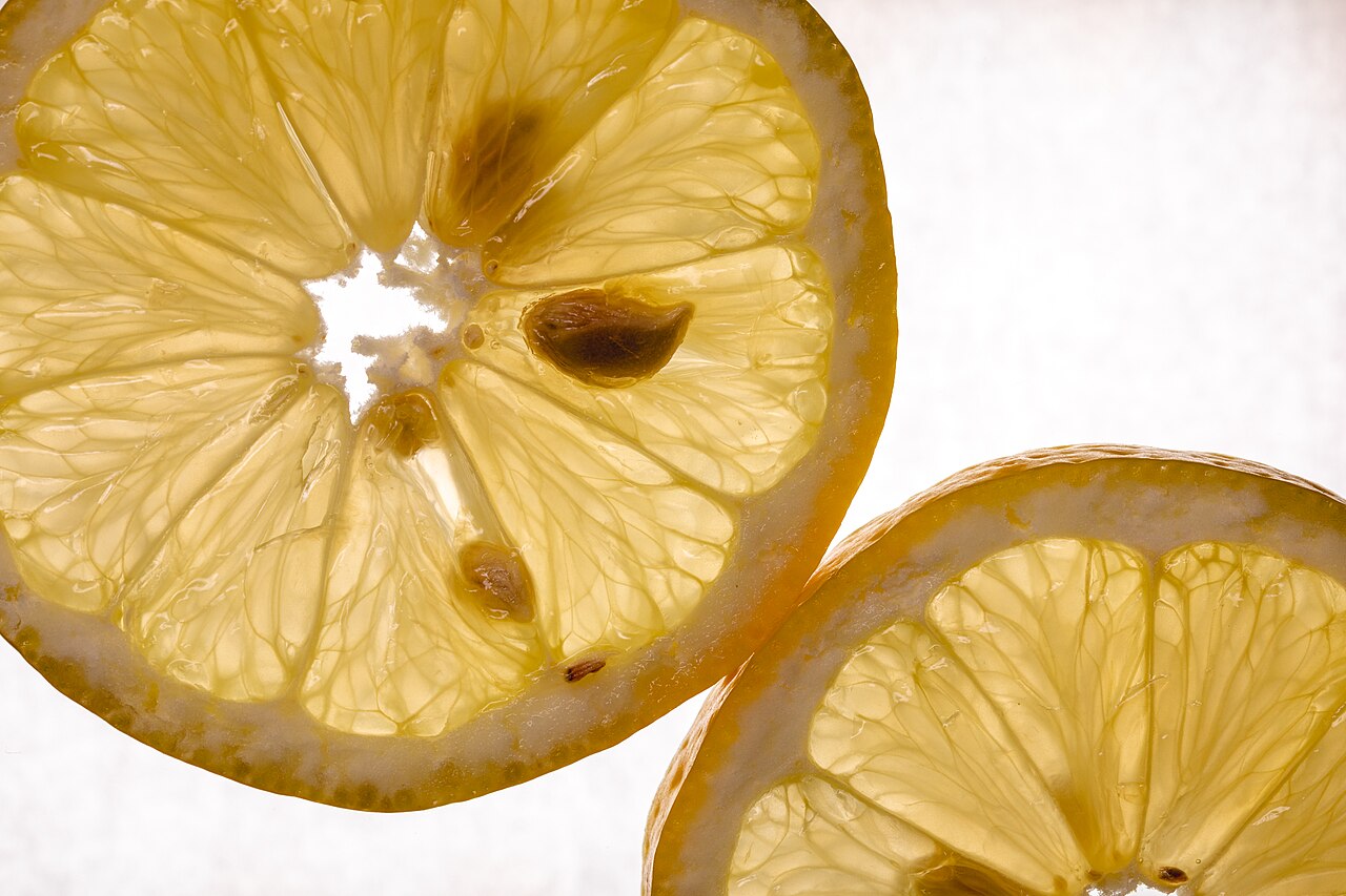 Backlit slices of fresh lemon showing pulp, membranes and seeds